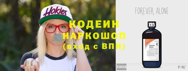 экстази Ельня
