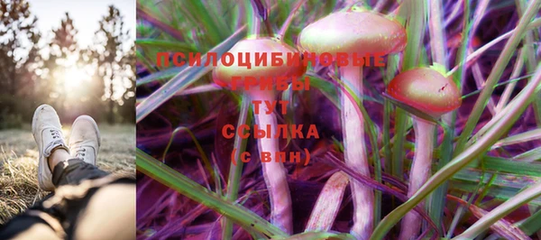 гашиш Елизово