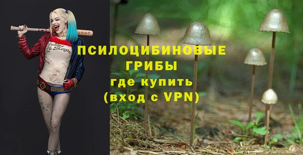 экстази Ельня
