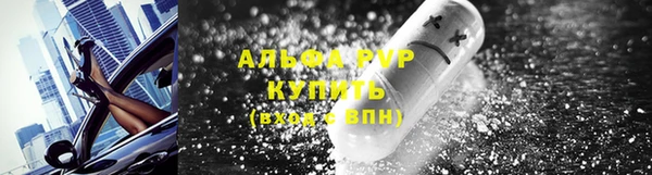 гашик Новокубанск