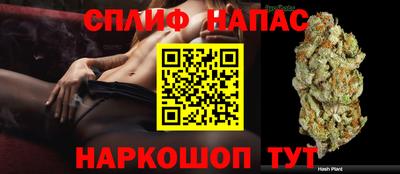 мяу мяу мука Владивосток