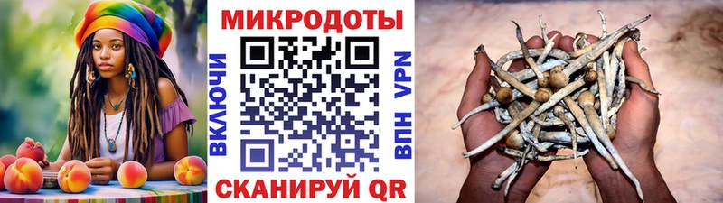 цены   Заринск  Галлюциногенные грибы Psilocybe 