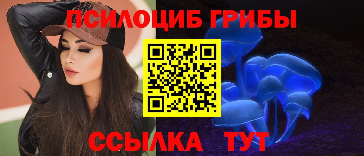 Заринск  Псилоцибиновые грибы GOLDEN TEACHER  где продают   Псилоцибиновые грибы мухоморы  Вход с VPN 